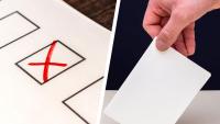 Collage of ticked ballot paper and submission to the voting box.
